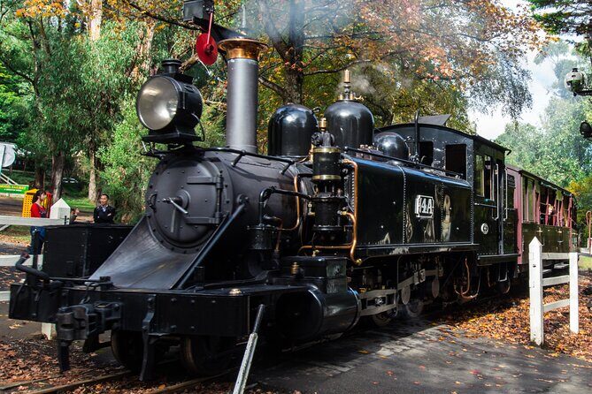Puffing Billy And Healesville Sanctuary Scenic Tour - Final Thoughts