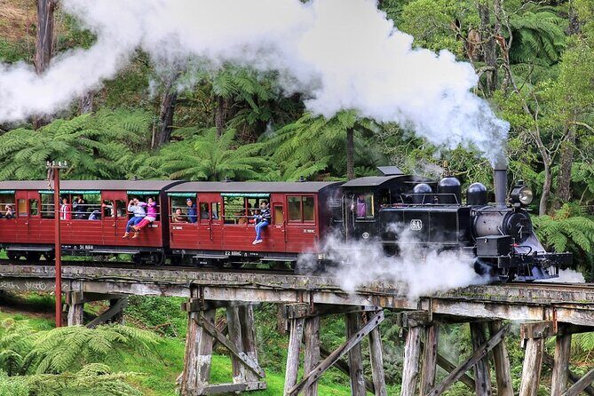 Puffing Billy And Phillip Island Penguin Parade Bus Tour - The Sum Up