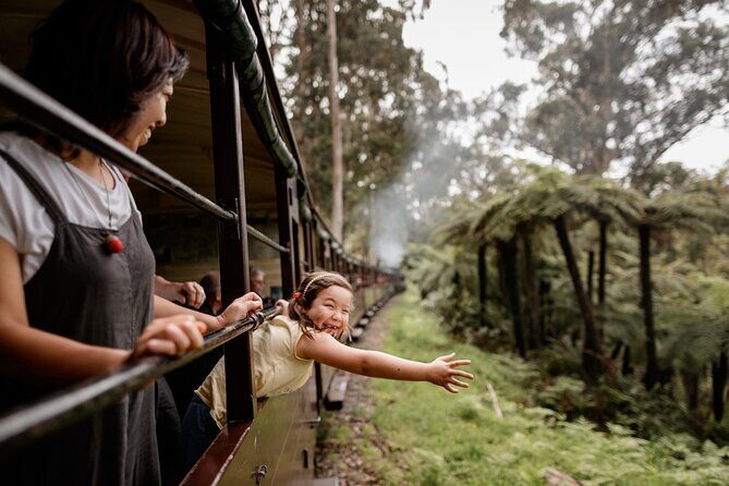 Puffing Billy, Forest Trails and Yarra Valley Discovery Tour - What Makes This Tour Stand Out