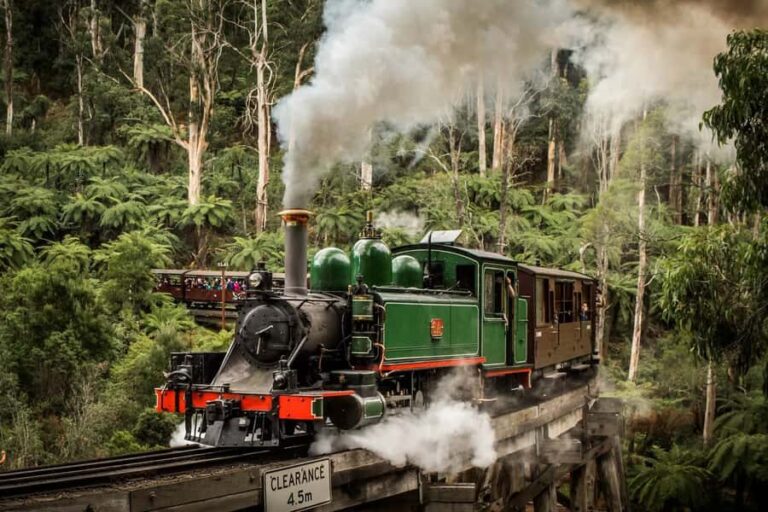 Puffing Billy Penguin Parade Mercedes Minibus Hotel Pickup - Breaking Down the Itinerary