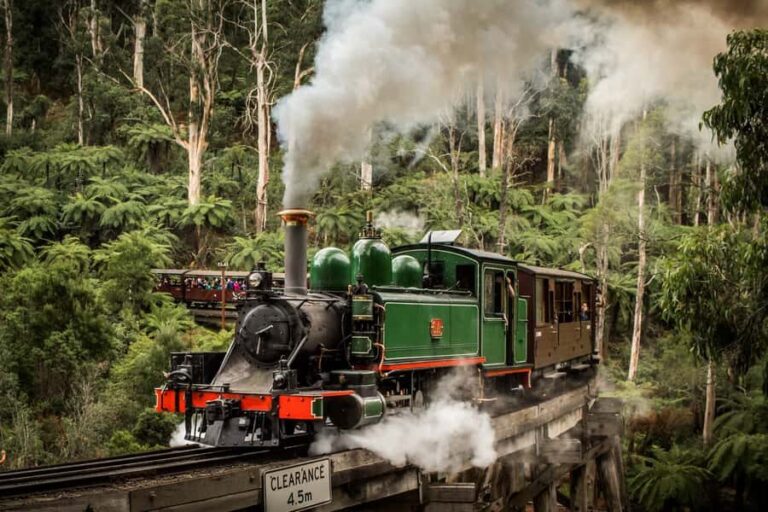 Puffing Billy Railway: Heritage Steam Train Journey - Scenic Beauty and Unique Views