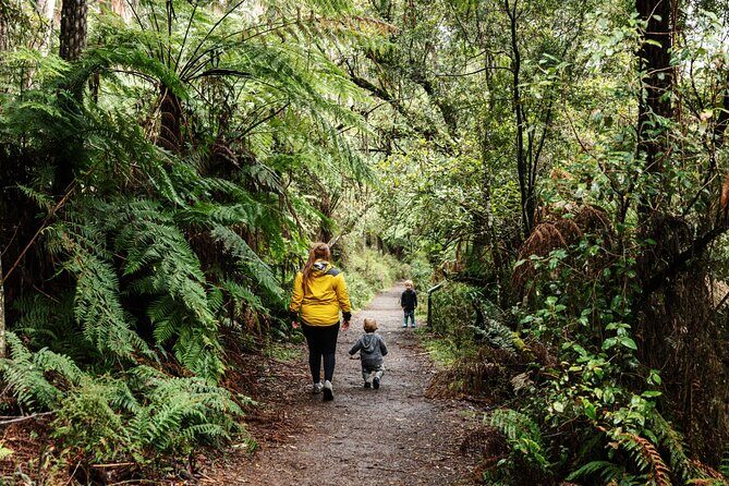 Puffing Billy & Rainforest Tour from Melbourne - The Downside?