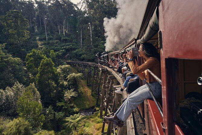 Puffing Billy Steam Train Rainforest Tour and Yarra Valley Treats - The Practical Side: What You Need to Know