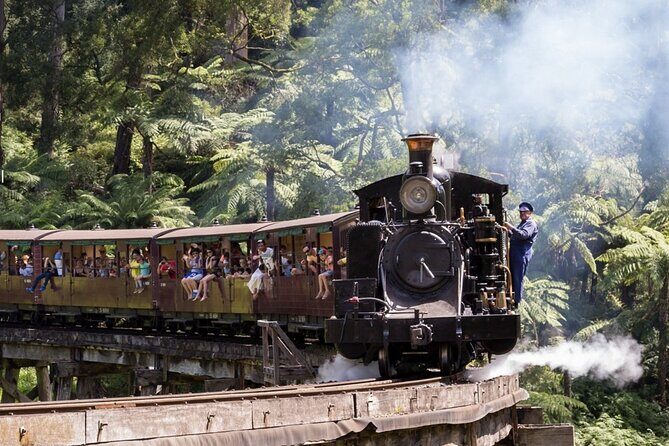 Puffing Billy Train and Phillip Island Penguin Parade Day Tour - What’s Included and What’s Not