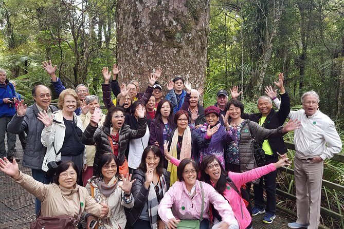 Puketi Rainforest Guided Walks .This is not a Shore Excursion product . - FAQ