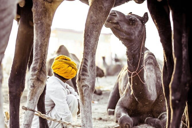 Pushkar: Private Guided day tour From Jaipur - Exploring Pushkar Lake: The Heart of the Town