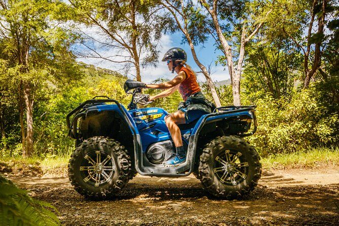 Quad Bike - Bayview Circuit - Authentic Feedback: What Past Travelers Say