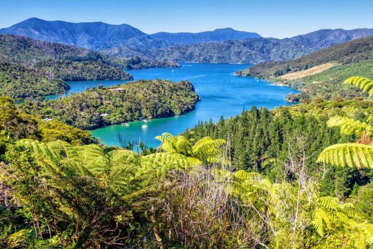 Queen Charlotte Track: Cruise & Self-Guided Hike from Picton - The Practicalities