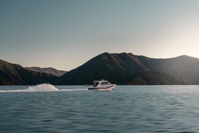 Queen Charlotte Track Self Guided Hike to Eatwells Lookout - The Itinerary in Detail