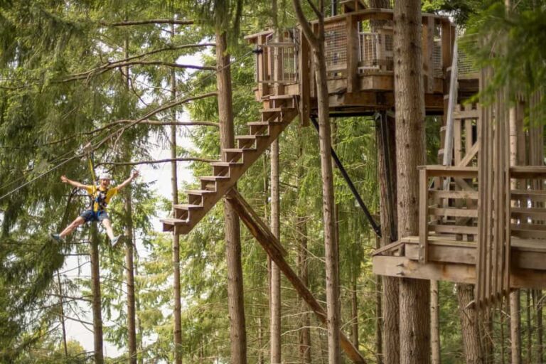 Queenstown: 3-Hour Zipline Adventure with 6-Lines - The Itinerary Breakdown