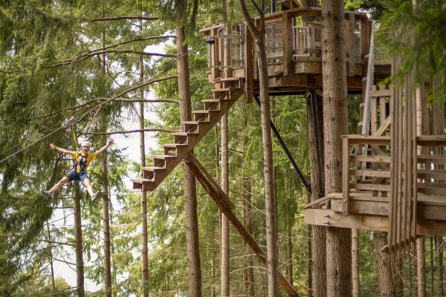 Queenstown: 3-Hour Zipline Adventure with 6-Lines - The Itinerary Breakdown