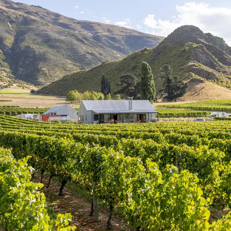 Queenstown, Arrowtown, Gibbston: Flexible Wine Hopper Tours - Why Travelers Love It