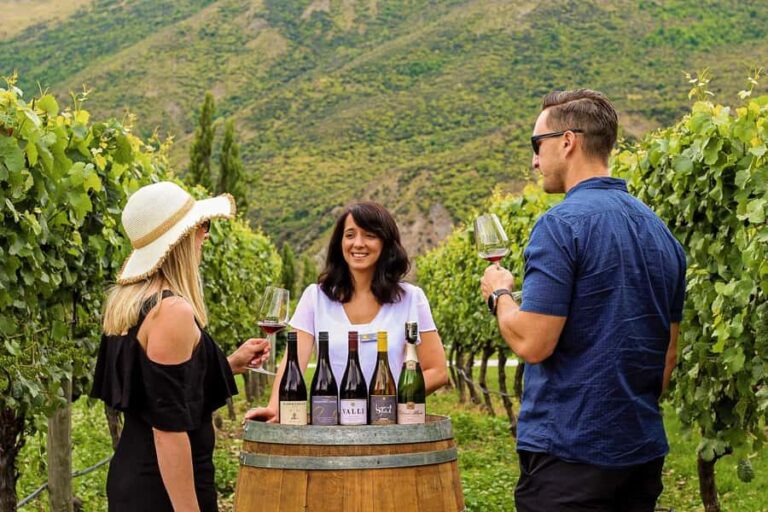 Queenstown: Classic Wine Tour - What to Expect
