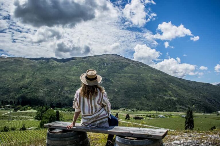 Queenstown & Gibbston Valley: Hop-On Hop-Off Wine Tours - The Practicalities