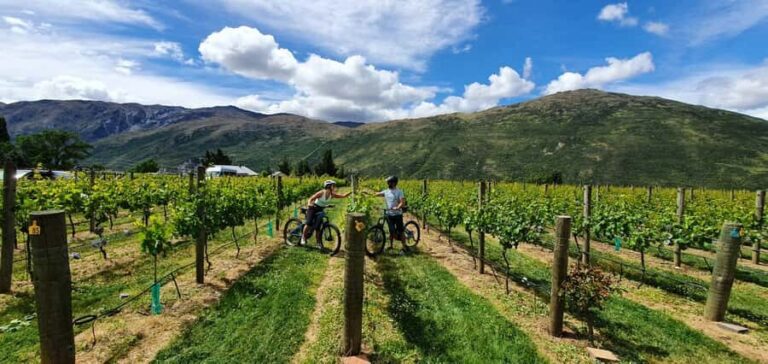Queenstown: Guided E-Bike Tour with Winery Visits & Tastings - Why Travelers Love This Tour