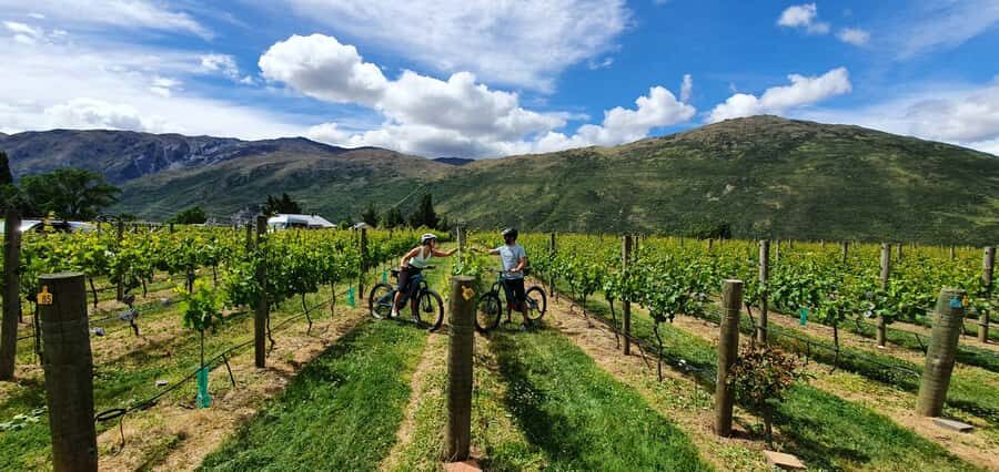 Queenstown: Guided E-Bike Tour with Winery Visits & Tastings - Why Travelers Love This Tour