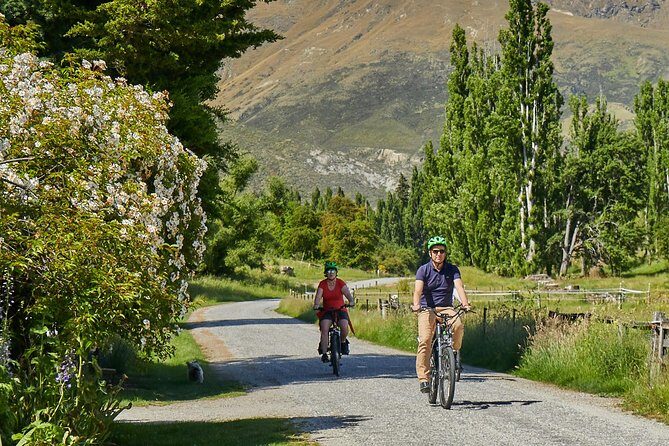 Queenstown Guided E-bike Wine Tour - Final Thoughts: Who Is This Tour Best For?
