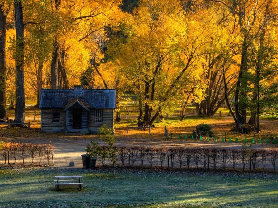 Queenstown: Highlights Tour with Wine Tasting - Why This Tour Works for You