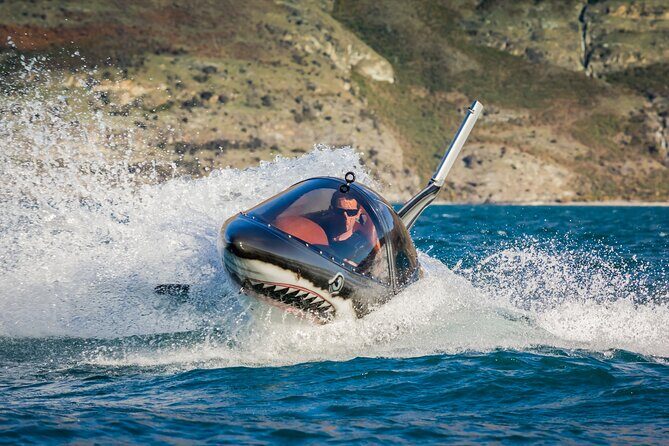 Queenstown Hydro Attack Shark Ride Adventure - Final Thoughts: Who Will Love This?