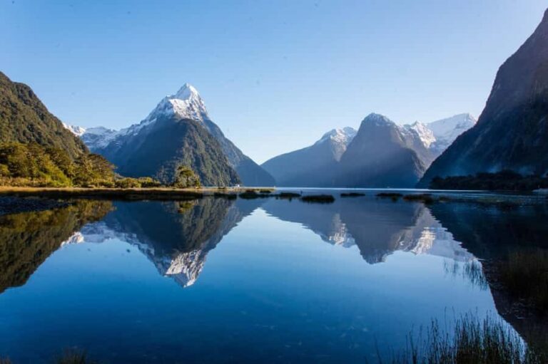 Queenstown: Milford Sound Cruise & Helicopter Alpine Tour - What Travelers Say