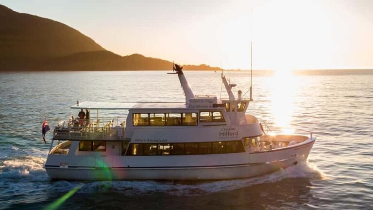 Queenstown: Milford Sound Small-Group Tour w Cruise & Lunch - The Scenic Drive: Why It Matters