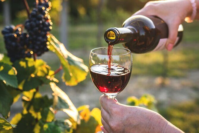 Queenstown More Than A Wine Tour - What Travelers Say