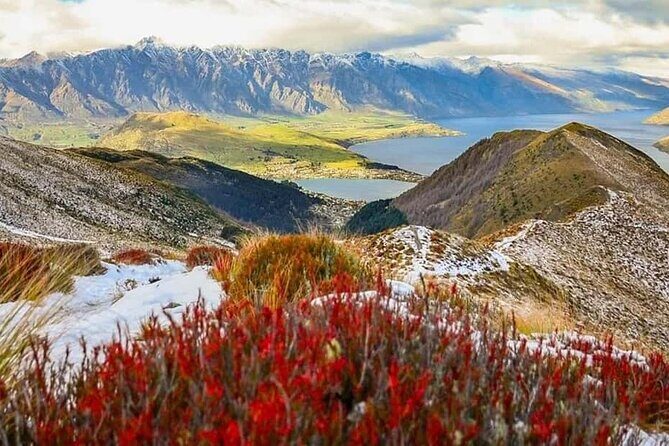 Queenstown Private Airport Transfer: Door to Door Service - The Experience of the Driver and Service