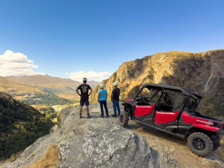 Queenstown: Ride Along Buggy Tour - What to Expect from the Ride Along Buggy Tour