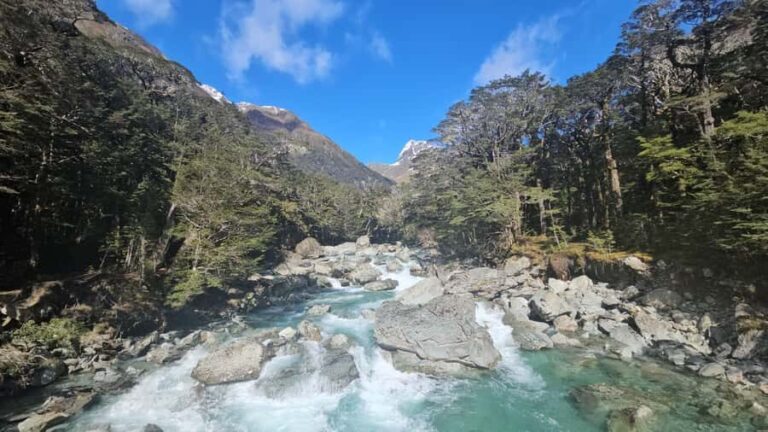 Queenstown: Routeburn Track Guided Full-Day Walk or Half Day - What the Tour Entails