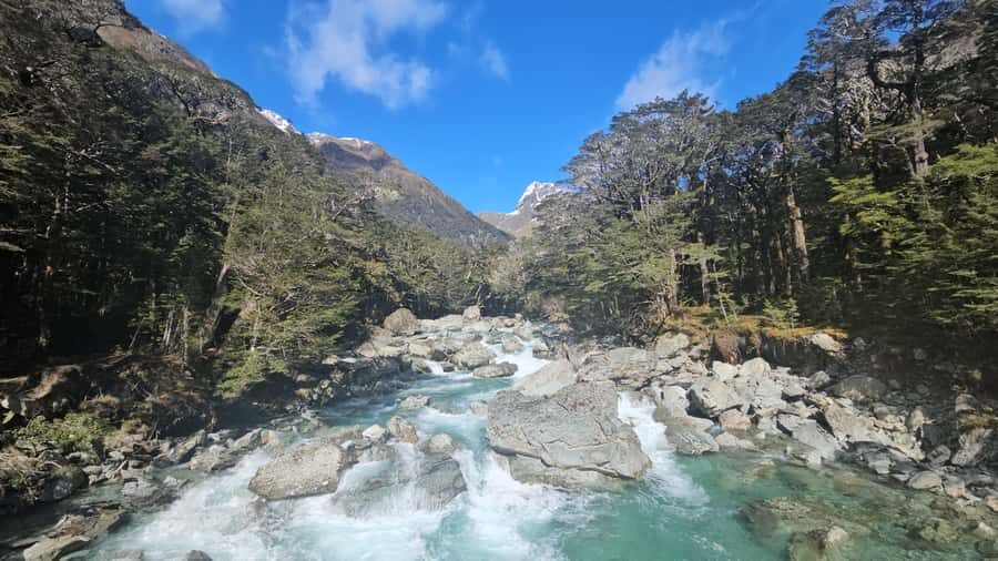 Queenstown: Routeburn Track Guided Full-Day Walk or Half Day - What the Tour Entails