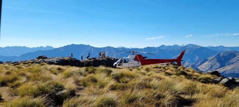 Queenstown: Scenic Alpine Heli-Flight - The Scenic Highlights
