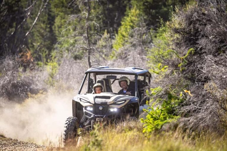 Queenstown: Self Drive Guided Buggy Tour - The Experience: What You Can Expect