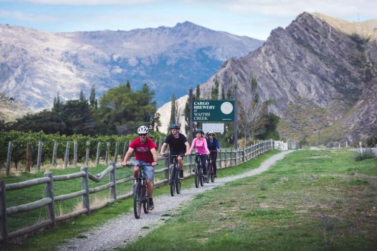 Queenstown: Self-Guided Gibbston Valley Wineries Bike Tour - The Ride and Wineries