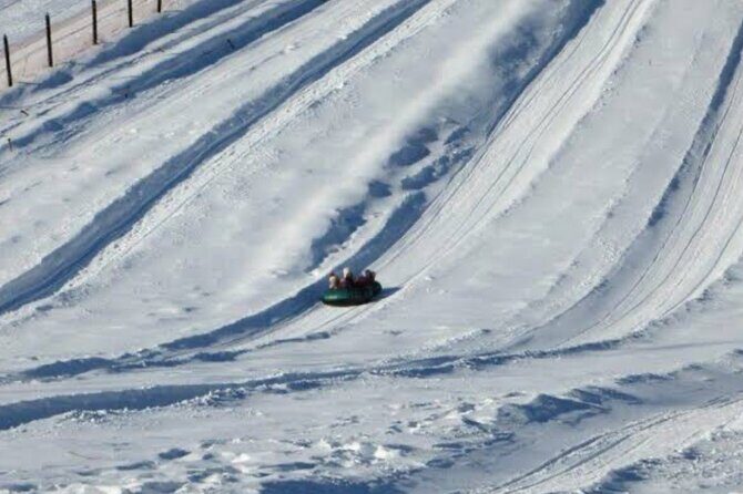 Queenstown to Cardrona Snow Farm Tour - Who Is This Tour Best For?