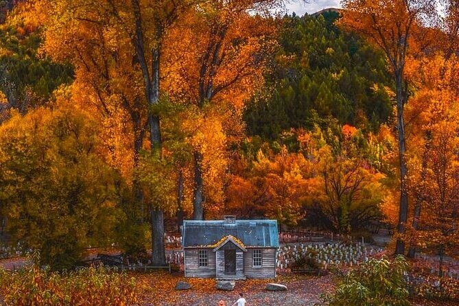 Queenstown to Christchurch One Way Tour Via Lake Tekapo & Mt Cook - What’s Included & What’s Not