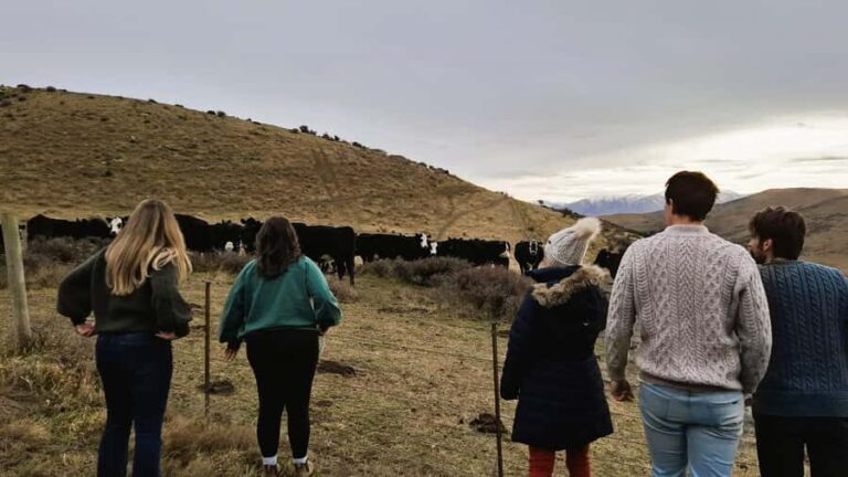 Queenstown to Middlemarch Small-Group Guided Tour (One-Way) - Practical Details and What to Expect