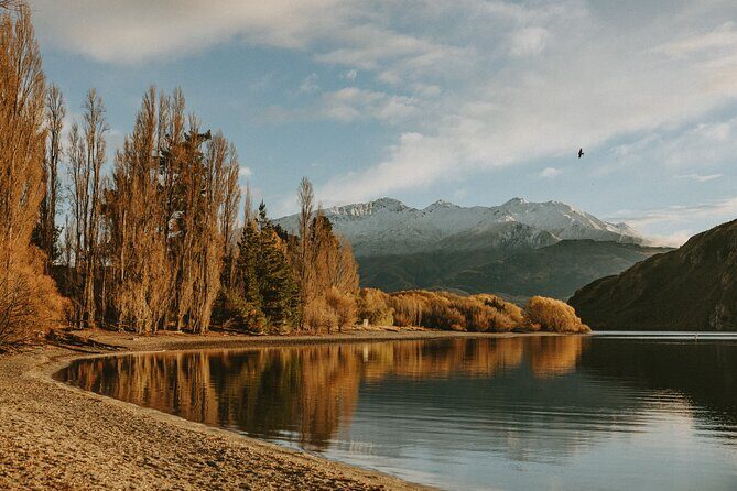 Queenstown to Wanaka Small-Group Tour (one-way) - Value & Pricing: Does It Stack Up?