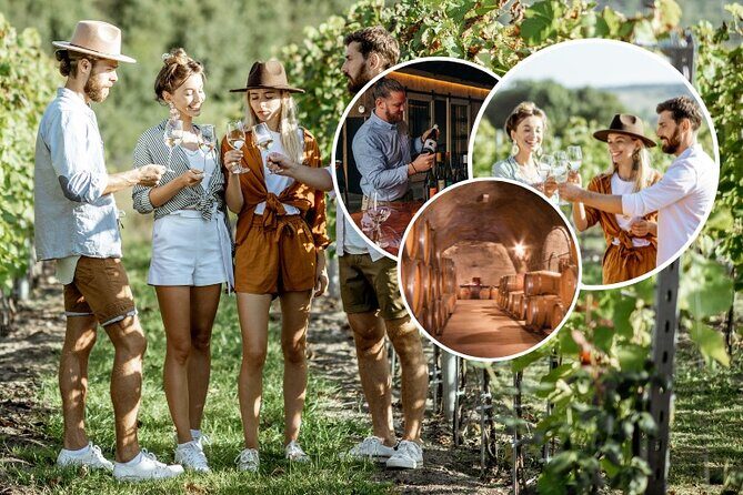 Queenstown Wine Tour - Gibbston Valley Cave | Kinross | Amisfield - What Real Travelers Say