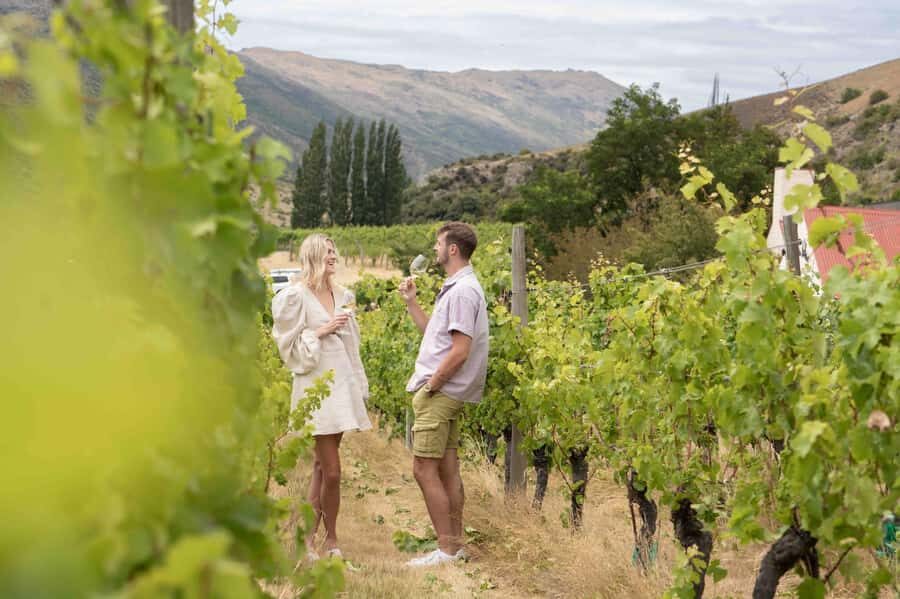 Queenstown's Original Wine Tour Celebrating 33 Years - Why This Tour Delivers Real Value