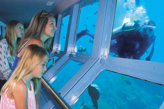 Quicksilver Great Barrier Reef Snorkel Cruise from Port Douglas - Activities Tailored to Every Type of Traveler