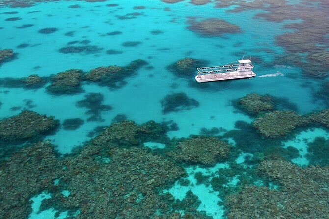 Quicksilver Outer Great Barrier Reef Snorkel Cruise from Palm Cove - Is This Tour Worth It?