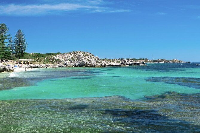 Quokkas Delight Rottnest Island - The Practical Side: What It Means for You