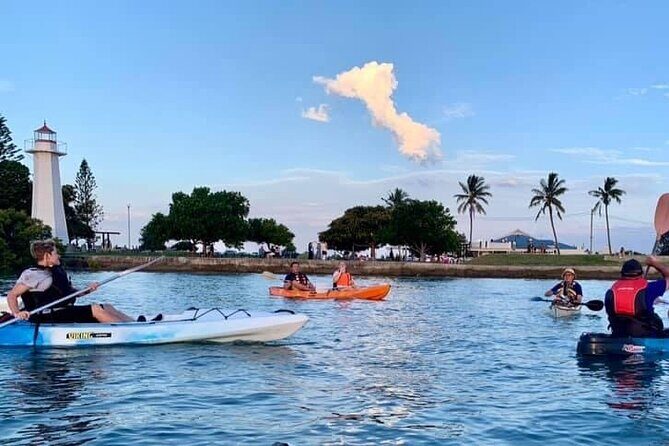 Raby Bay Wildlife Kayak Tour - The Practicalities: Logistics, Price, and Group Dynamics