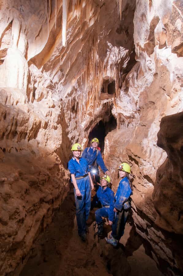 Raglan: Guided Cave Adventure with Glow Worms - What Travelers Say about This Tour