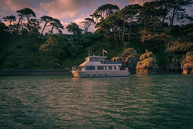 Raglan Scenic Nature Boat Cruise - The Value of This Experience