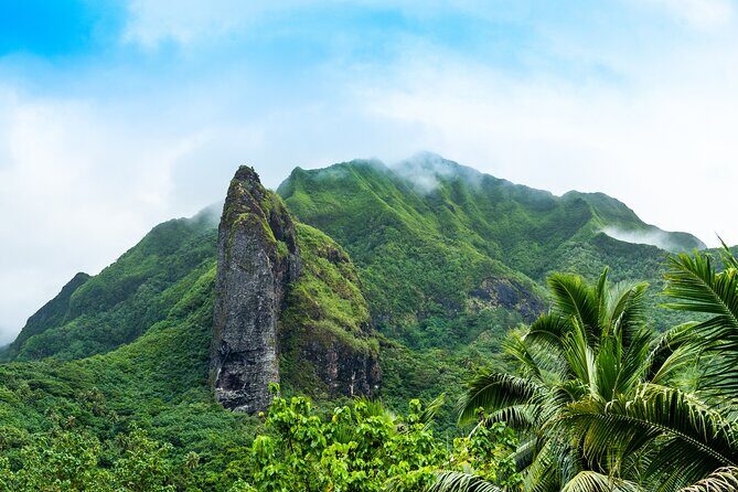 Raiatea & Tahaa Lagoon Cruise: Private Shore Tour - Final Thoughts: Is This Tour Right for You?