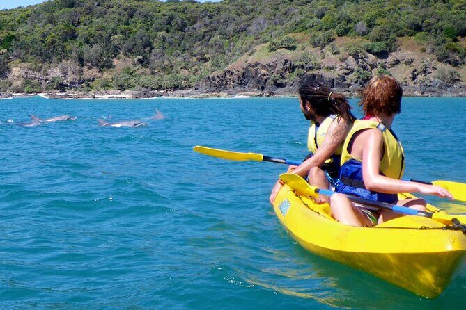 Rainbow Beach: Dolphin & Wildlife Ocean Kayak & Beach 4WD Tour - The Sum Up: Why This Tour Is a Great Choice