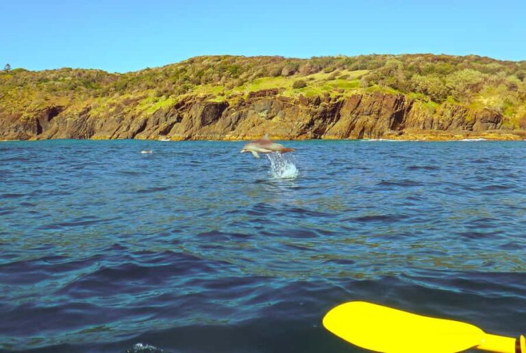Rainbow Beach: Kayaking with Dolphins and Beach 4WD Tour - Authentic Experiences and Honest Feedback