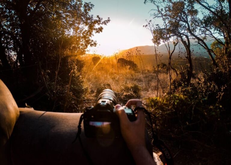 Rajasthan: Ranthambore National Park Private Jeep Safari - Who Is This Tour Best For?