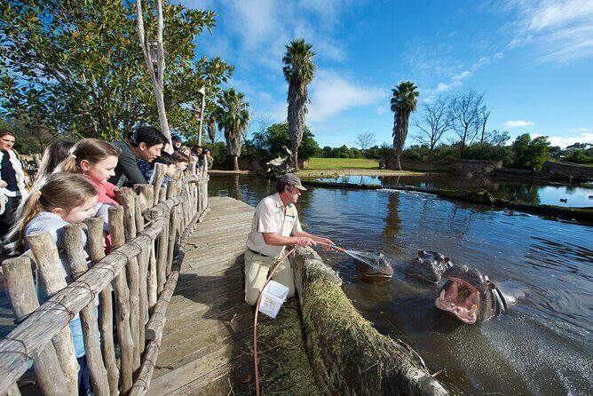 Ranger Mystery Tour at Werribee Open Range Zoo - excl. entry - What You Can Expect During the Tour
